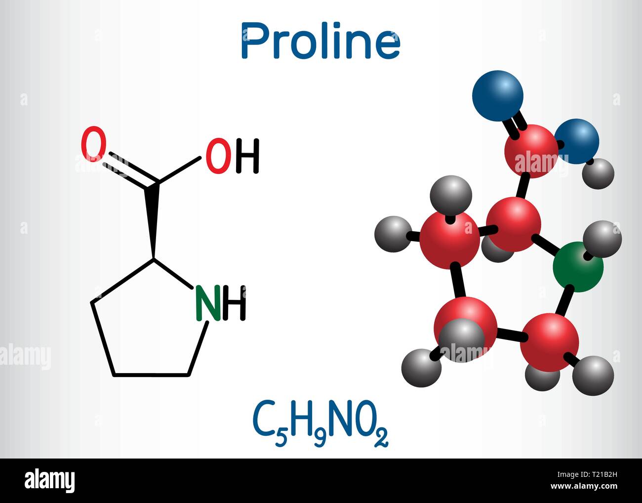 Proline (L-Prolin, Pro, P) proteinogene Aminosäure Molekül. Strukturelle chemische Formel und Molekül-Modell. Vector Illustration Stock Vektor
