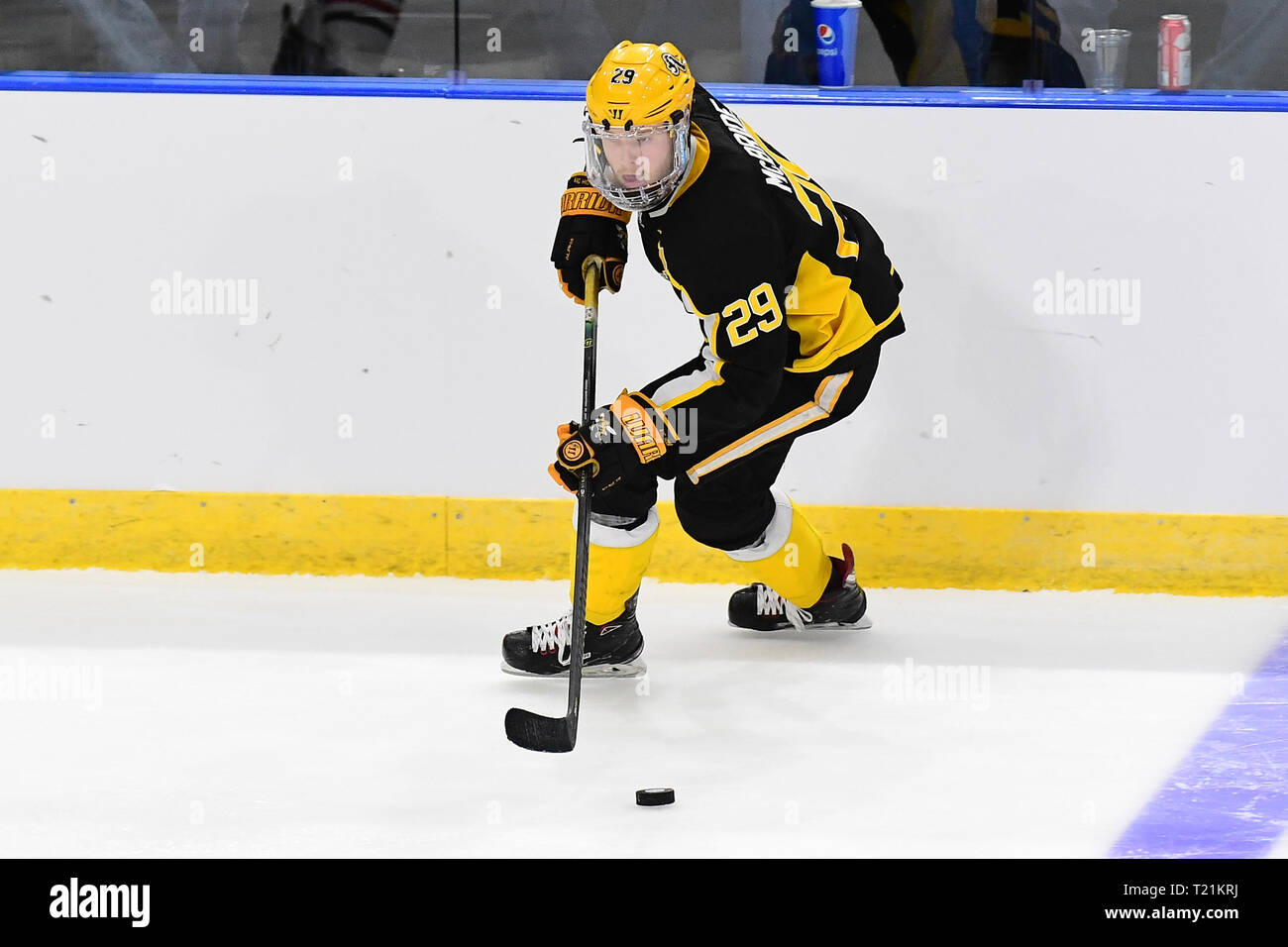 März 29, 2019 American International gelben Jacken, Shawn McBride (29) Kufen dem Puck auf dem Eis während der NCAA Men's Hockey West regionale Halbfinalspiel zwischen der Amerikanischen International College gelbe Jacken und die St. Cloud State Huskies bei Scheels Arena, Fargo, ND. #16 AIC besiegt #1 SCSU 2-1. Foto von Russell Hons/CSM Stockfoto