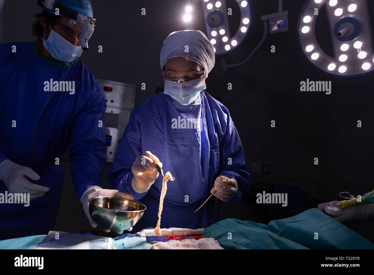 Chirurg, ein wenig menschliches Fleisch in eine Schüssel mit seiner Assistentin zu Ihrem nächsten Stockfoto