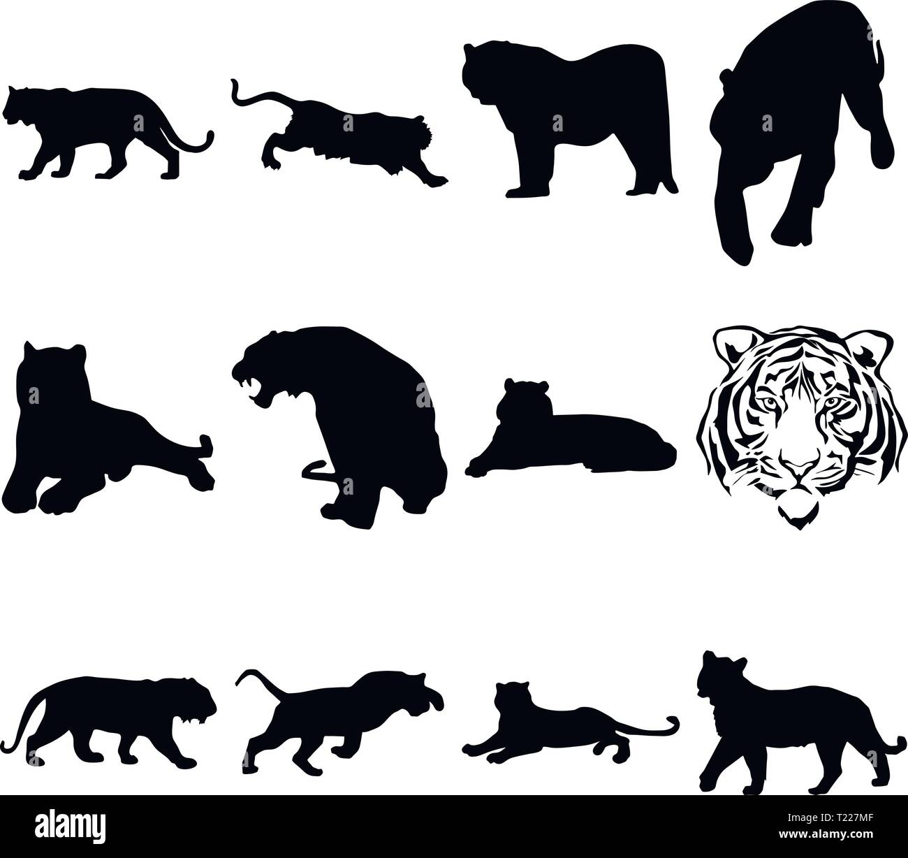 Eine Sammlung von Silhouetten der Tiger in verschiedenen Positionen Stock Vektor