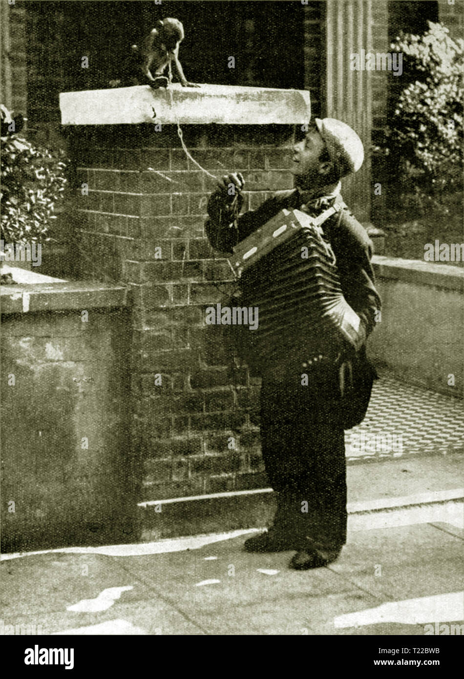 1930 ist ein Italienisches organ Grinder (street Entertainer) mit seinem Affen auf einer Londoner Straße mit seinem Akkordeon Stockfoto