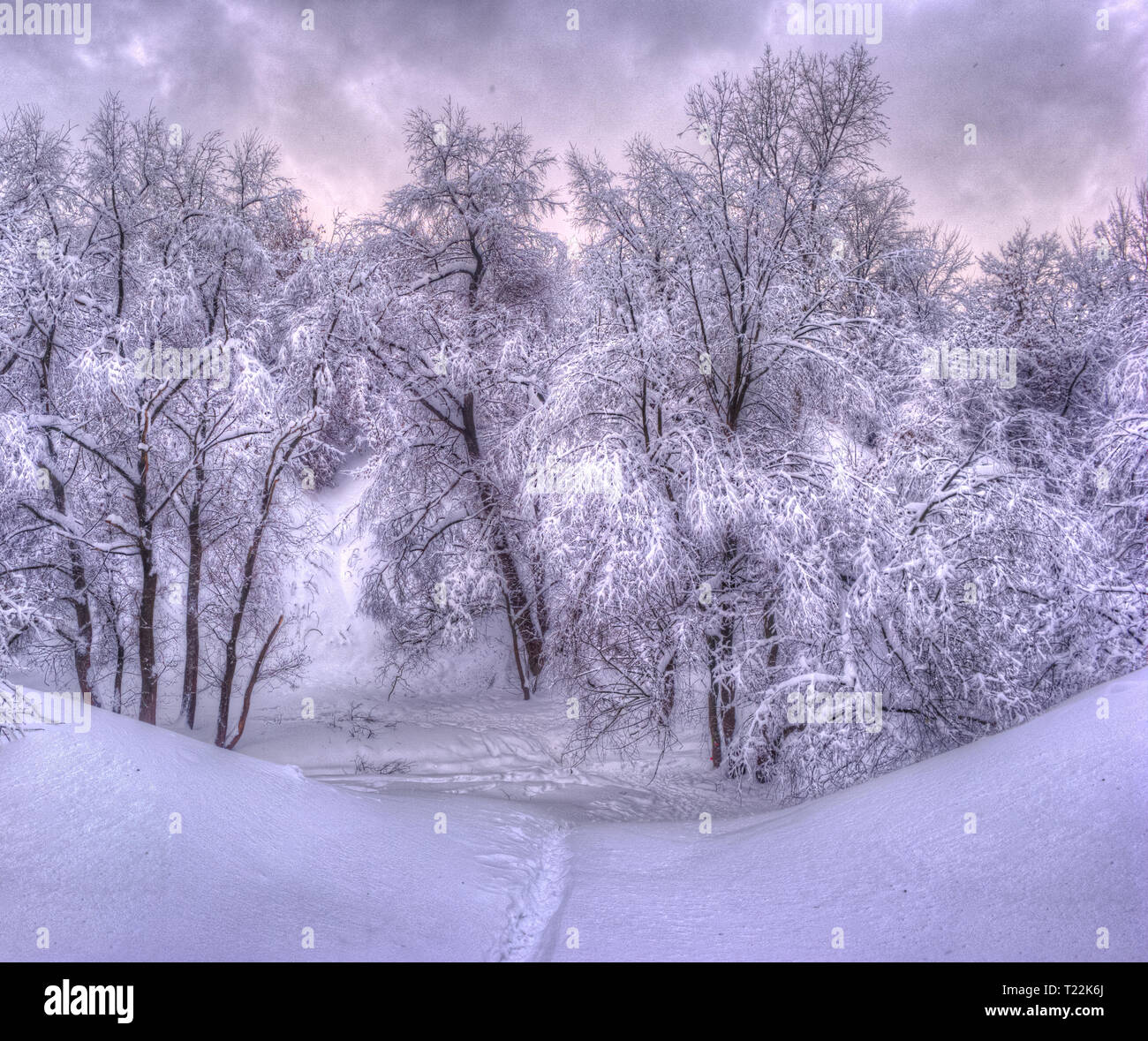 Winterlandschaft mit verschneiten Bäumen entlang der Winter Park Stockfoto