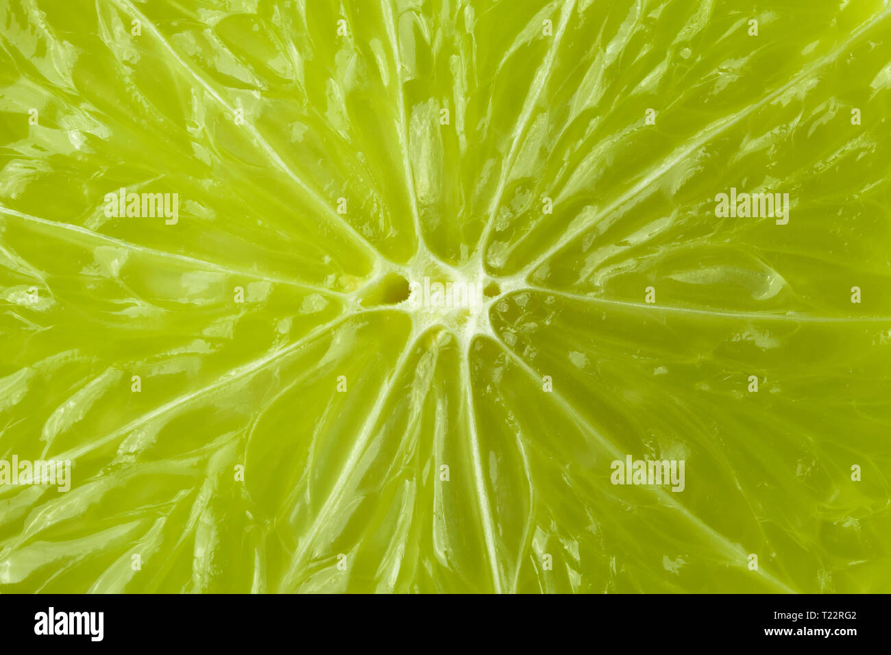 Ein Stück Kalk ist eine große Arten. Makro. Hintergrund. Stockfoto