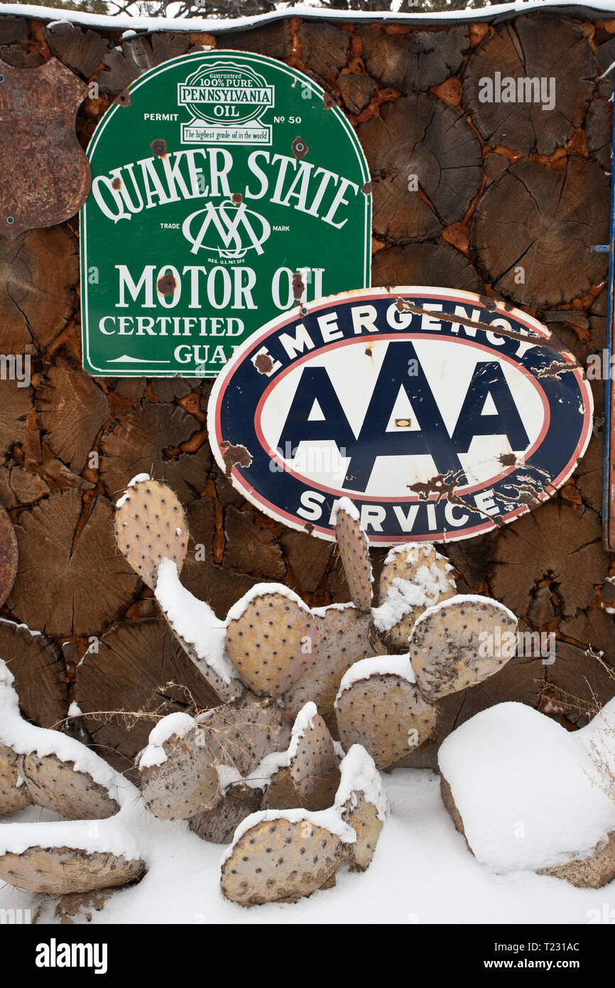 Antike Zeichen, Kaktus, und Schnee in Pinos Altos Stockfoto