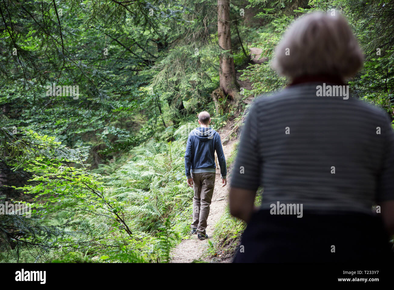 Österreich, Tirol, Kaisergebirge, Mutter und erwachsener Sohn Wandern im Wald Stockfoto