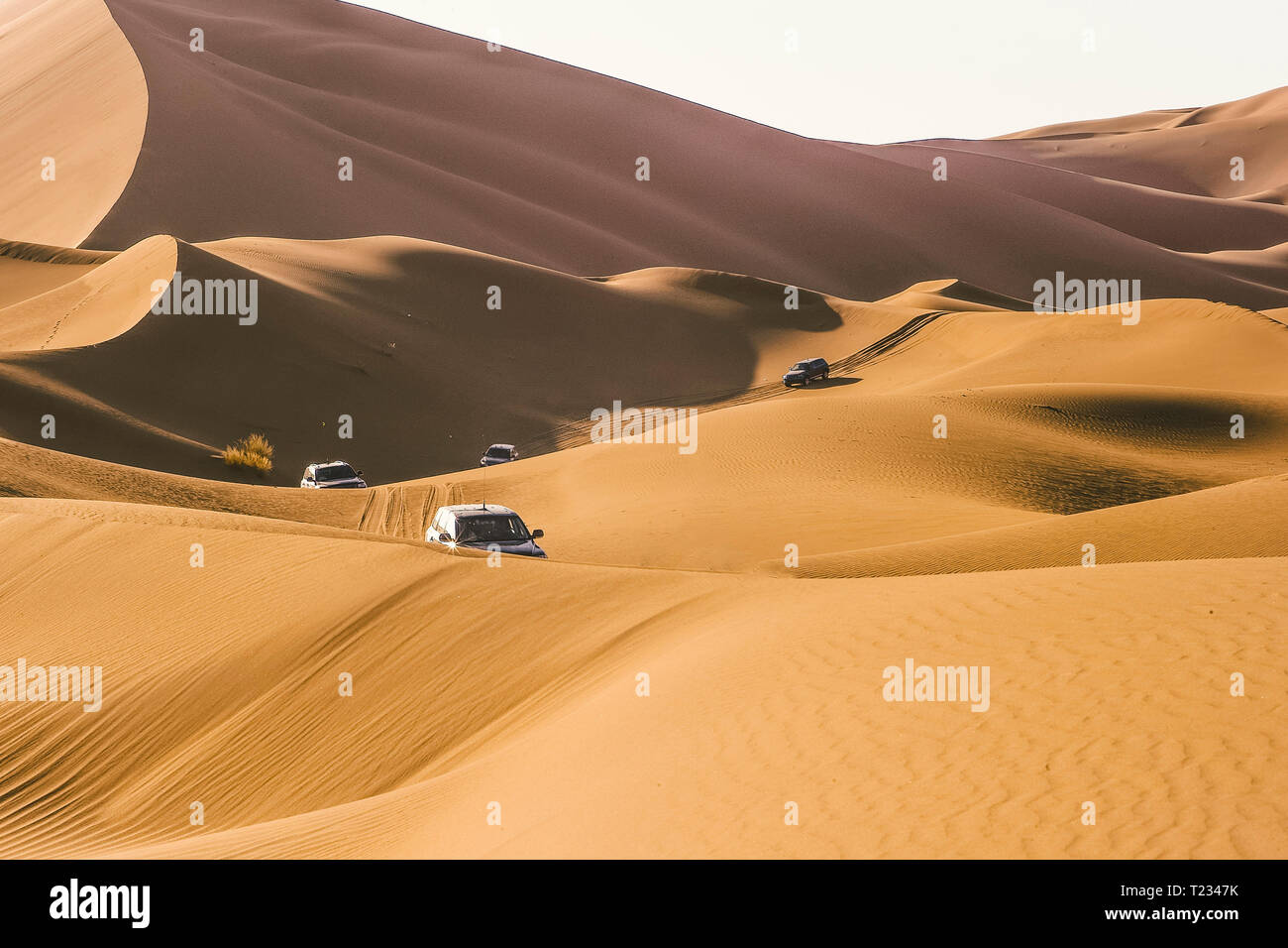 Marokko, Wüste, off-road Fahrzeuge auf Dune Stockfoto