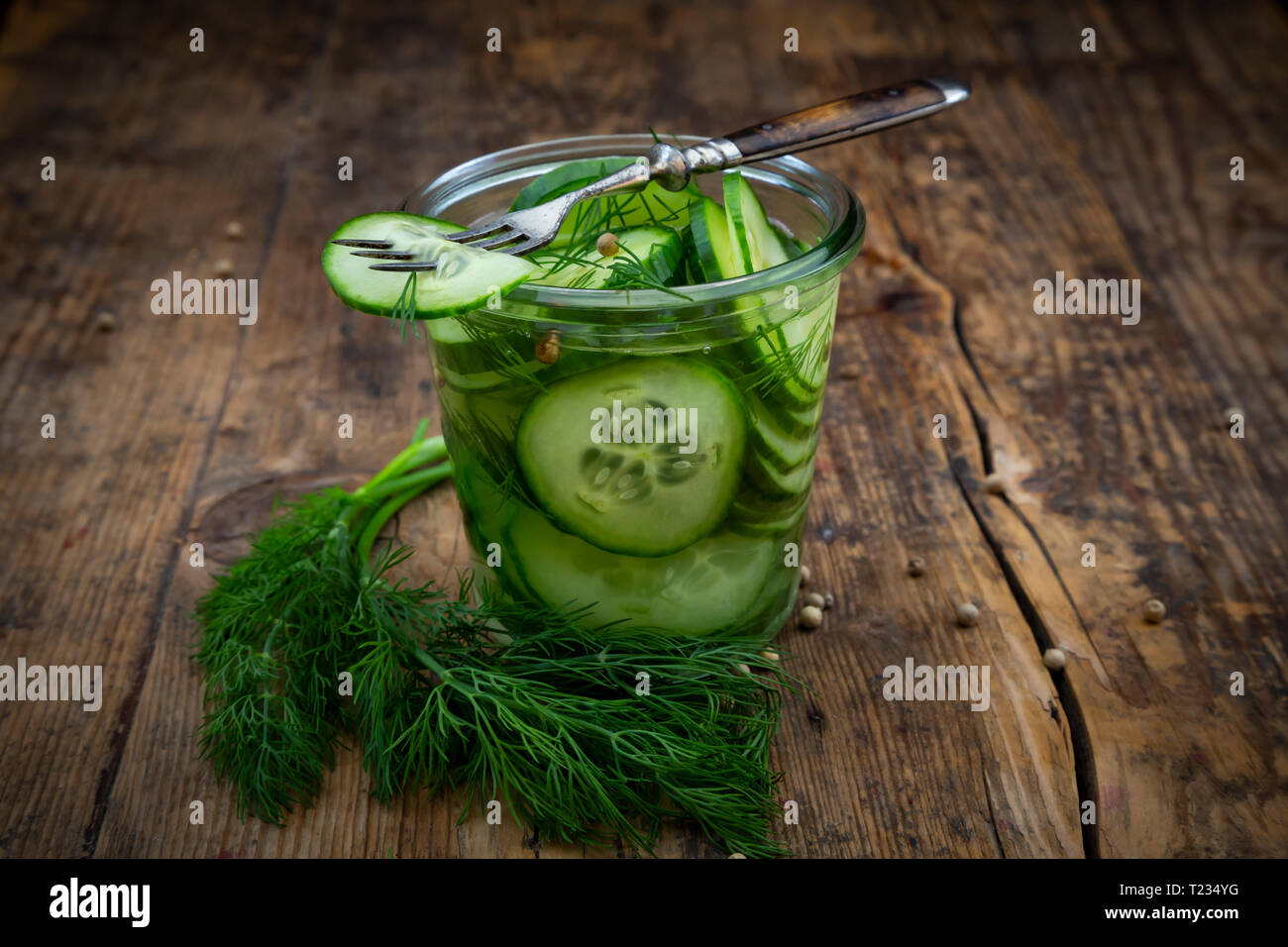 Schwedische pressgurka, mit Dill und weiße Pfefferkörner Stockfoto