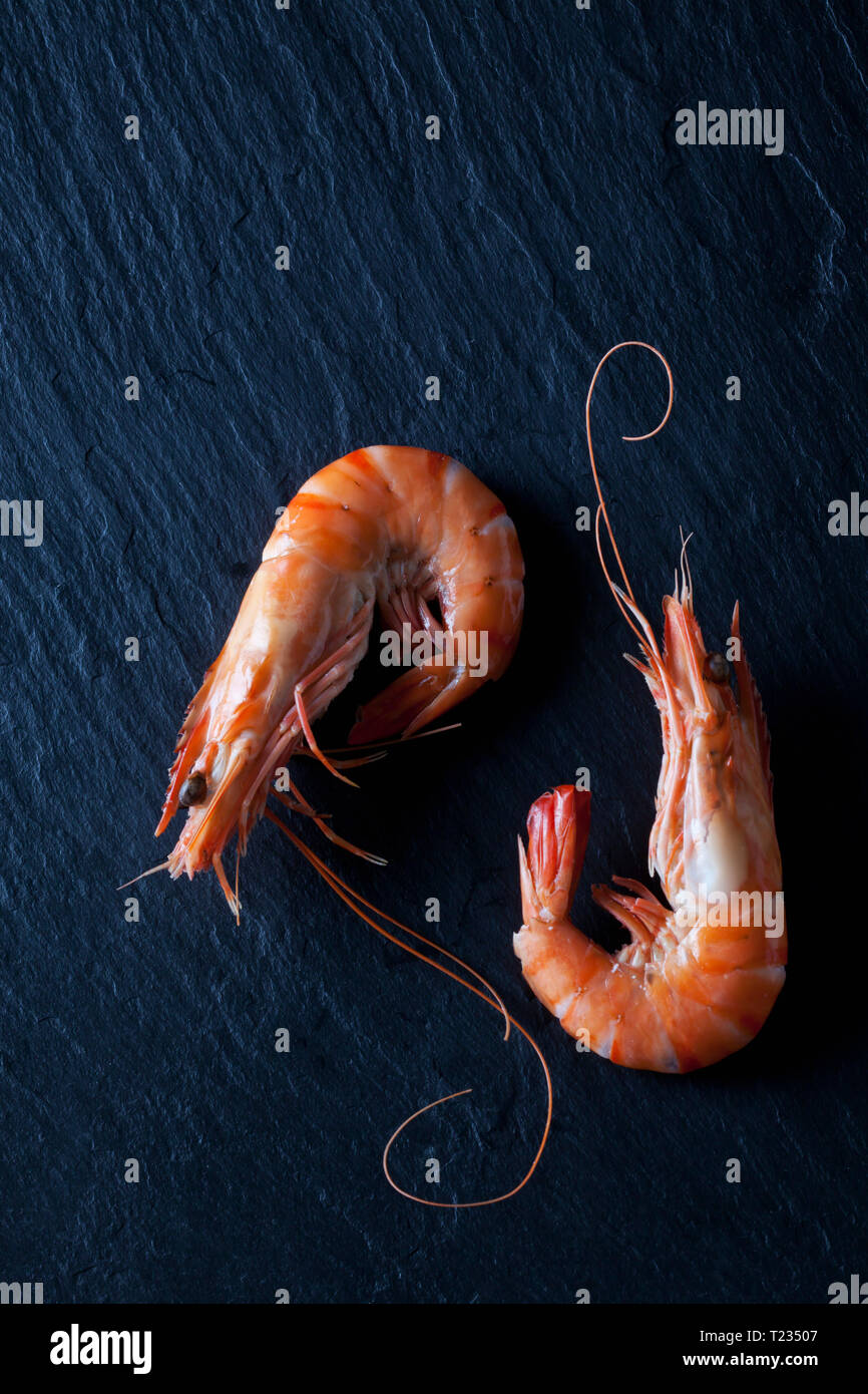 Gekochte Garnelen auf schwarzem Schiefer Stockfoto