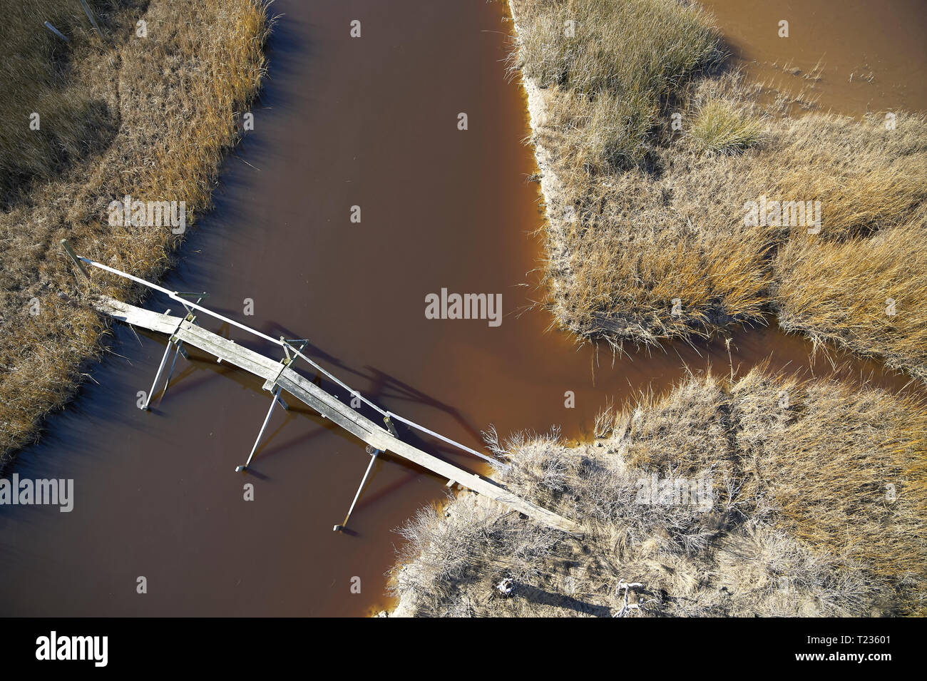 USA, Marsh auf dem östlichen Ufer von Maryland mit einem Wanderweg und Fußgängerbrücke, Anstieg des Meeresspiegels aufgrund der globalen Erwärmung Stockfoto