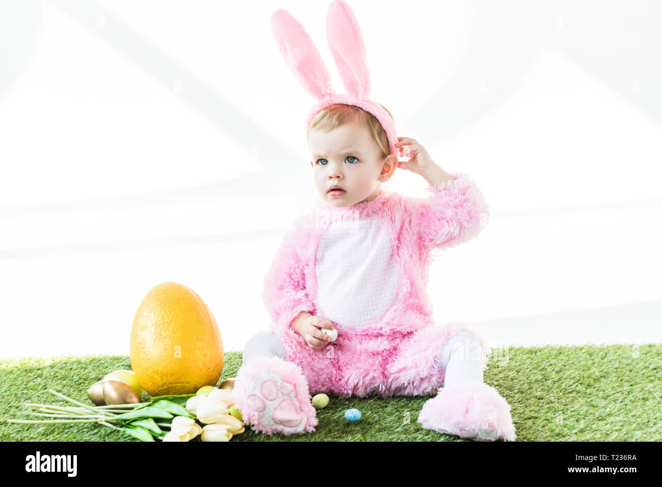 Cute Baby in Funny Bunny Kostüm in der Nähe Ostereier, Tulpen und gelbe  Straußenei isoliert auf weißem Sitzen Stockfotografie - Alamy