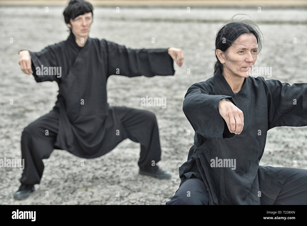 Tai Chi Chuan. Stockfoto