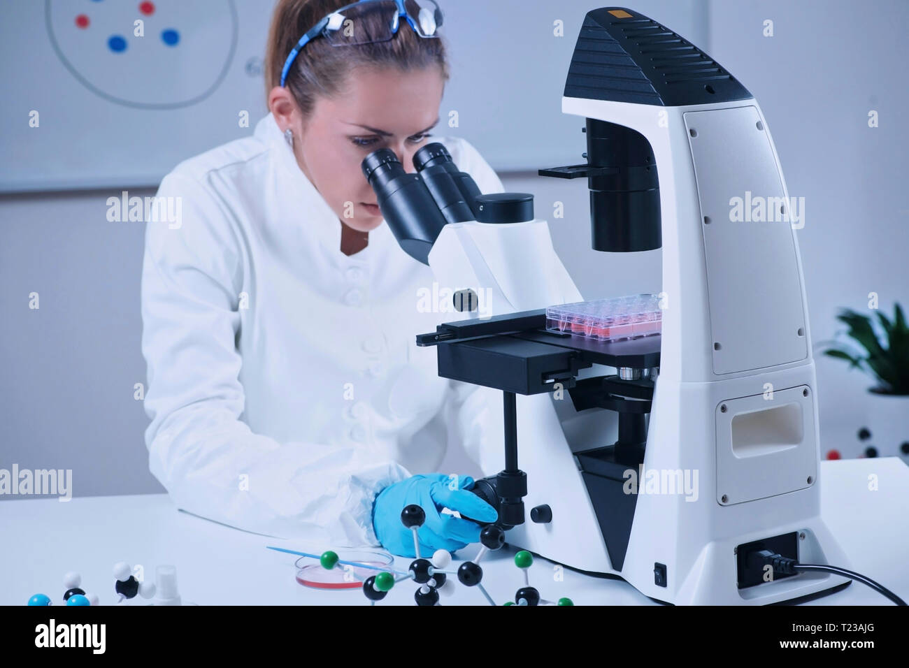 Wissenschaftlerin Blick durch das Mikroskop. Stockfoto