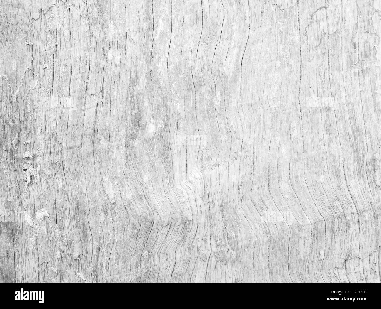 Tabelle Blick von oben auf die Holzstruktur in weißes Licht natürliche Farbe Hintergrund. Grau sauberes Korn Holzboden Birke-Kulisse, die mit normalem Board blass einze Stockfoto
