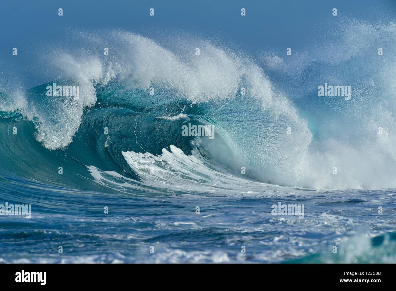 Große dramatische Welle. Oahu, Hawaii, USA, Pazifische Inseln, Pazifik. Stockfoto