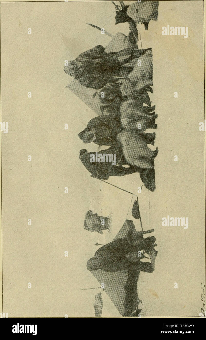 Archiv Bild ab Seite 233 der Entdeckung des Nordpols Entdeckung des Nordpols: eigene Dr. Frederick A. Cook's Geschichte, wie er den Nordpol April 21st, 1908 erreicht, und die Geschichte von Commander Robert E. Peary's Discovery April 6th, 1909 discoveryofnorth 00 Mühle Jahr: 1909&lt; H PN O m Plh3W o o H O P5 m m&lt; PL, Stockfoto