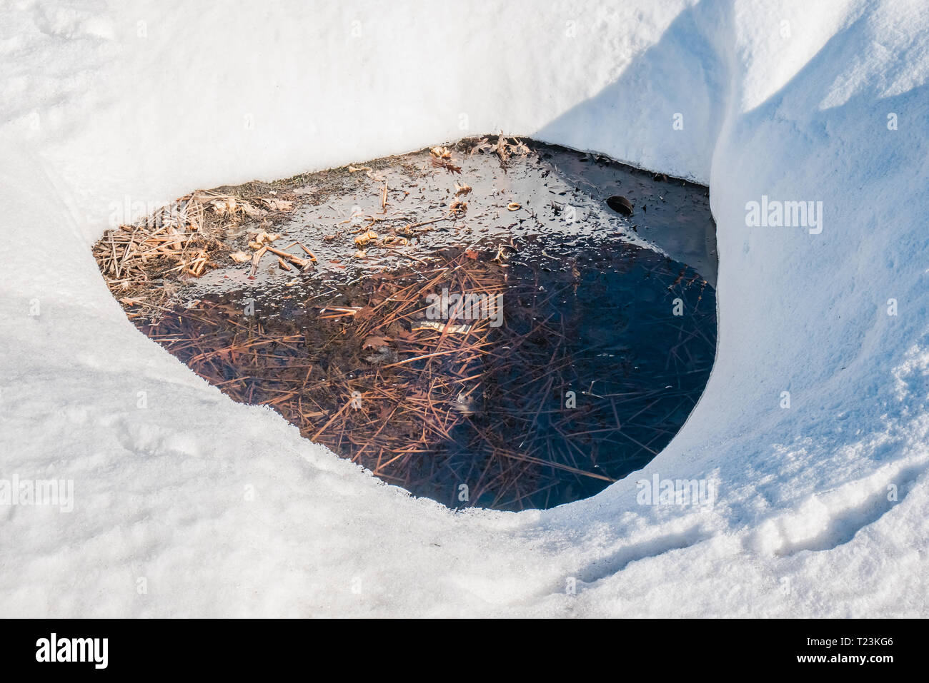 Muskoka lake Werft winter Kanada Stockfoto