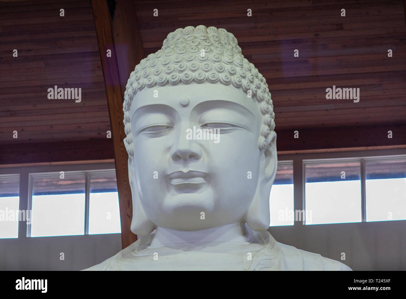 Buddha Statuen an einem Tempel. Stockfoto