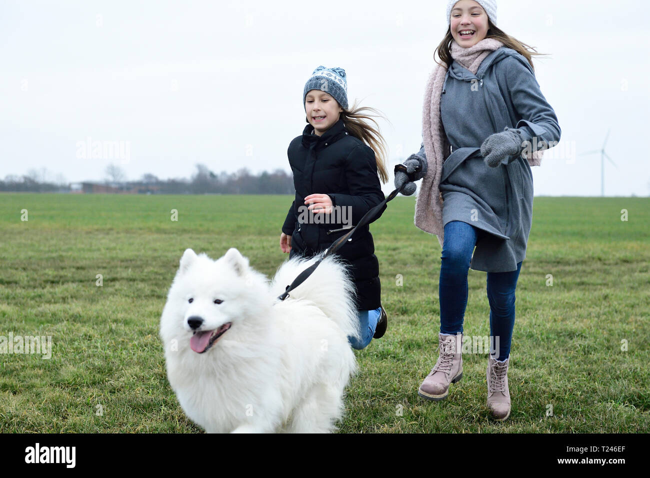 Zwei Mädchen, die auf einer Wiese mit Hund Spaß Stockfoto