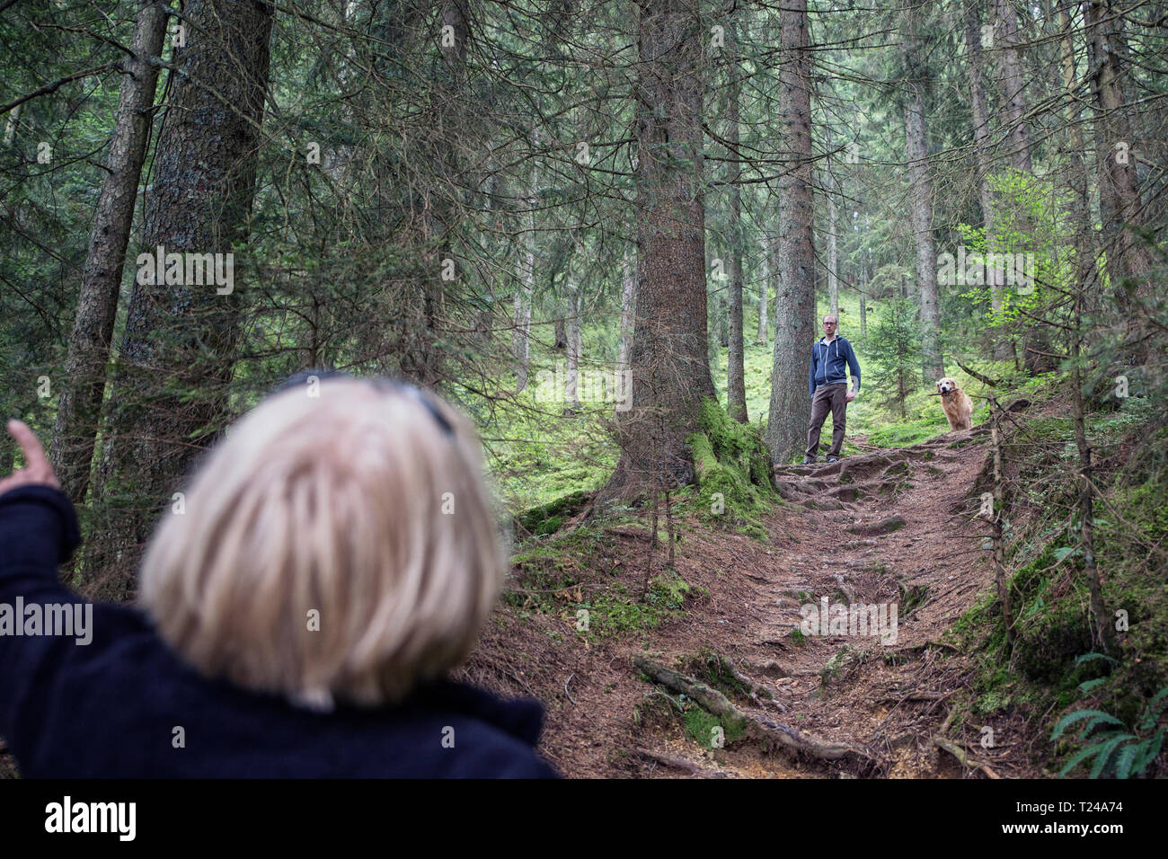 Österreich, Tirol, Kaisergebirge, Mutter und erwachsener Sohn mit Hund Wandern im Wald Stockfoto