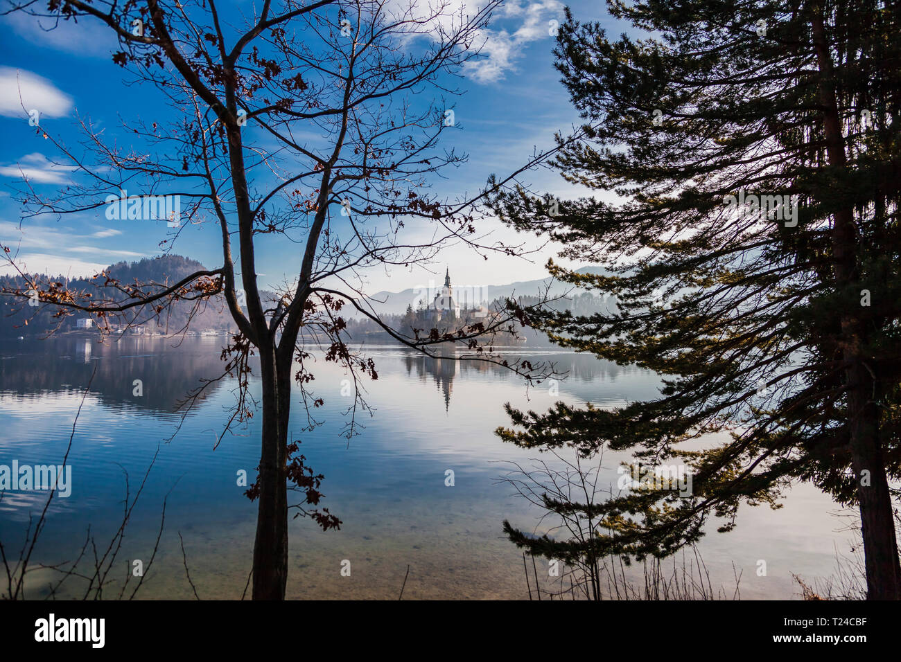 Slowenien, Gorenjska, Bled, Panoramablick auf den Bleder See mit Insel Stockfoto