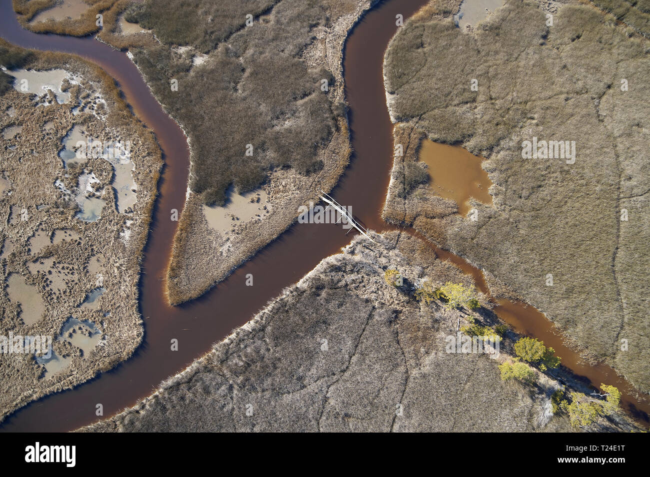 USA, Marsh auf dem östlichen Ufer von Maryland mit einem Wanderweg und Fußgängerbrücke, Anstieg des Meeresspiegels aufgrund der globalen Erwärmung Stockfoto