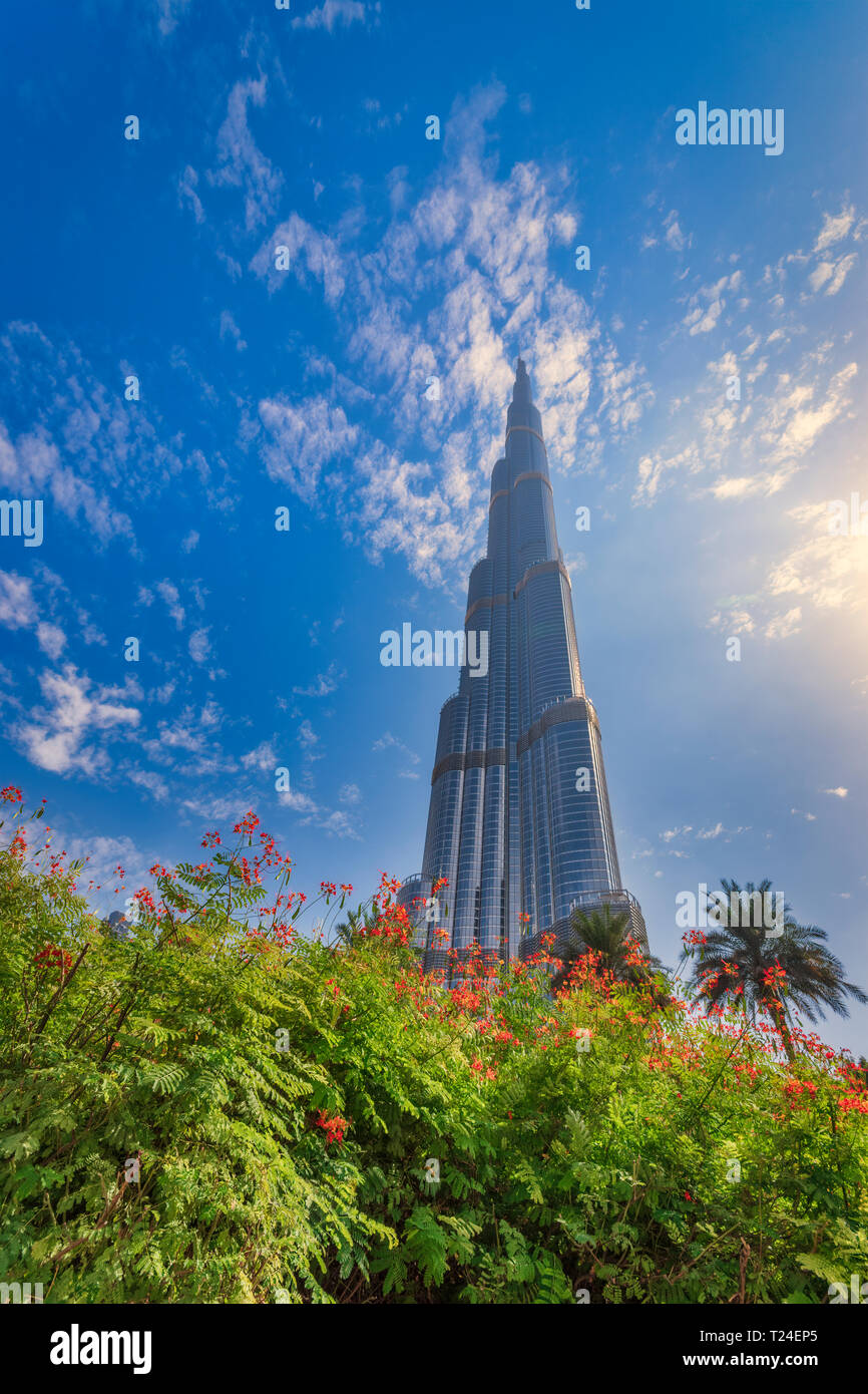 Vereinigte Arabische Emirate, Dubai, Stockfoto