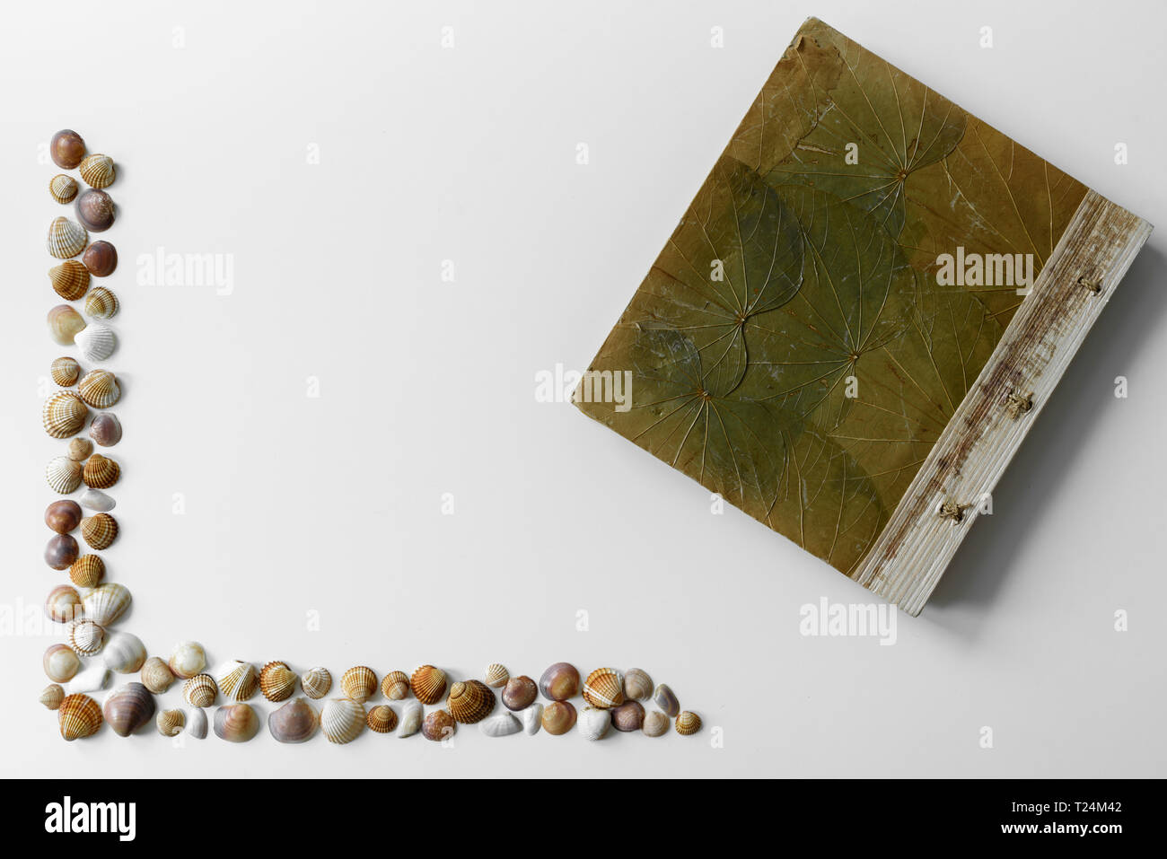 Arrangement Sommer mit Muscheln und Ferienhäuser Notebook auf dem weißen Hintergrund mit Kopie erstellt. Stockfoto