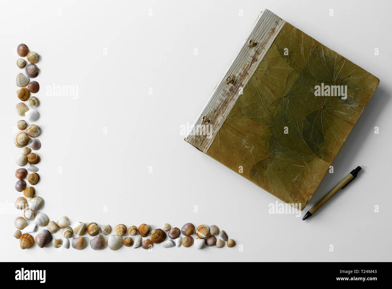 Rahmen aus Muscheln mit Ferien Tagebuch auf weißem Hintergrund. Sommer Dekoration. Stockfoto