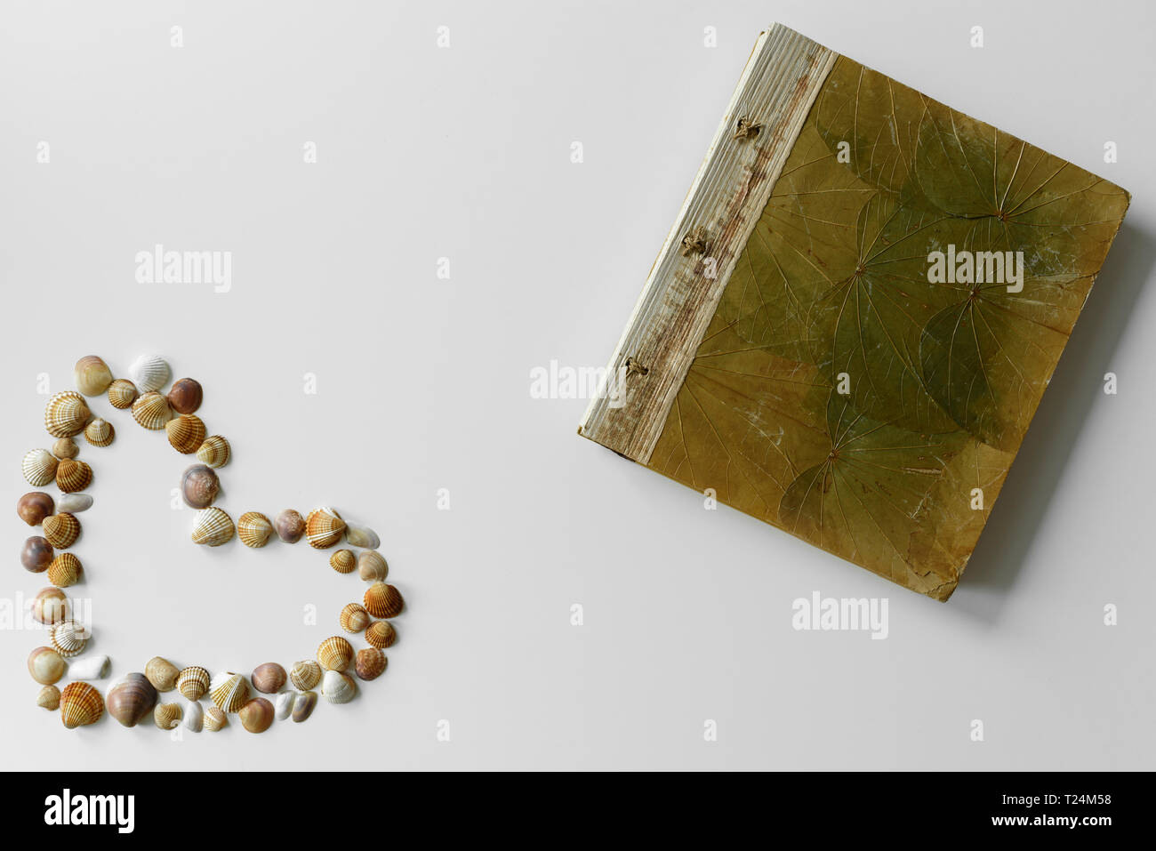Abbildung: Sommer mit herzförmigen Muscheln und Fotoalbum als Tagebuch für Ferienhäuser Abenteuer geschaffen. Stockfoto