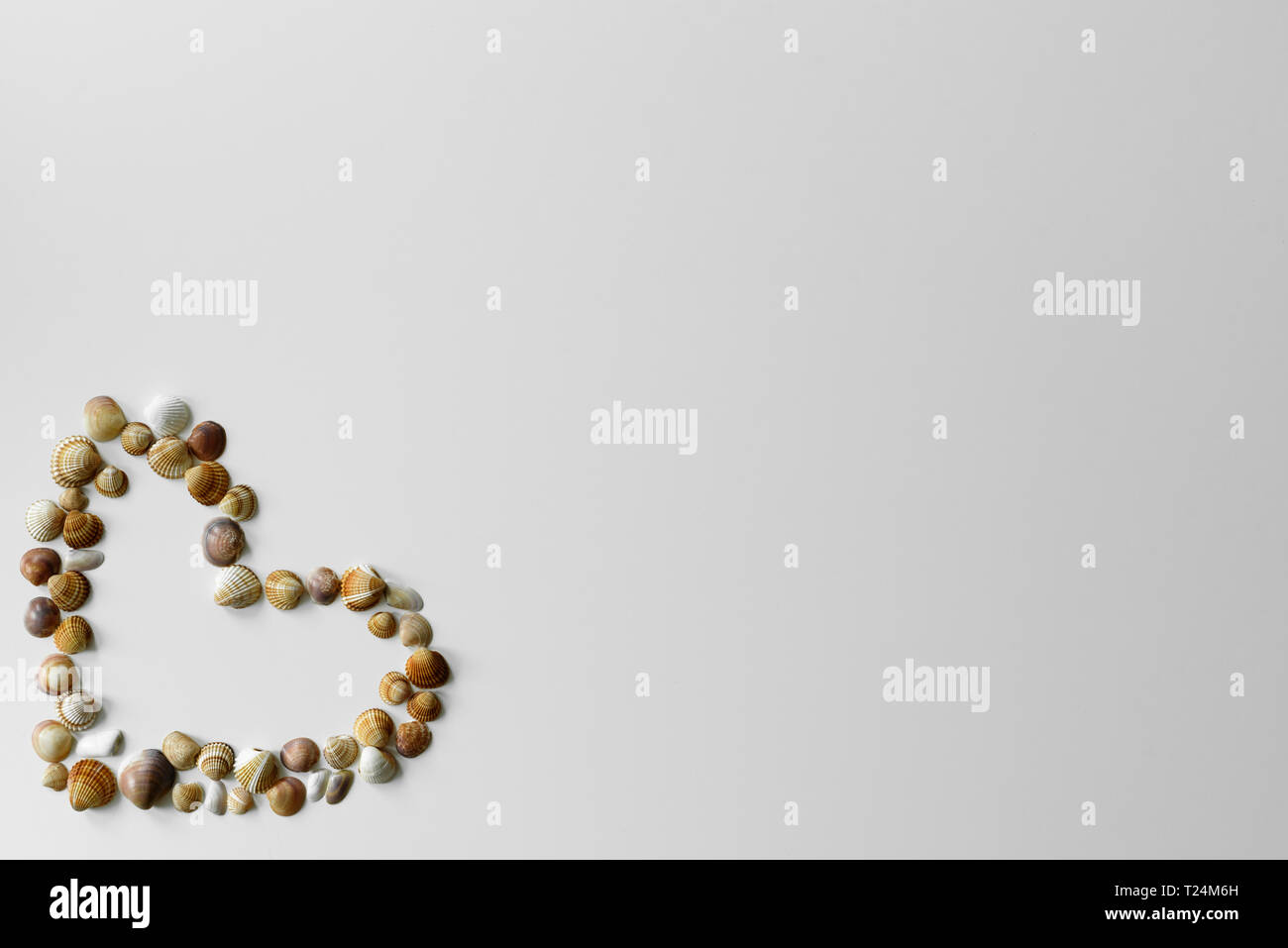 Liebe Symbol - Herz ab Sommer Muscheln mit Kopie Raum auf weißem Hintergrund erstellt. Stockfoto