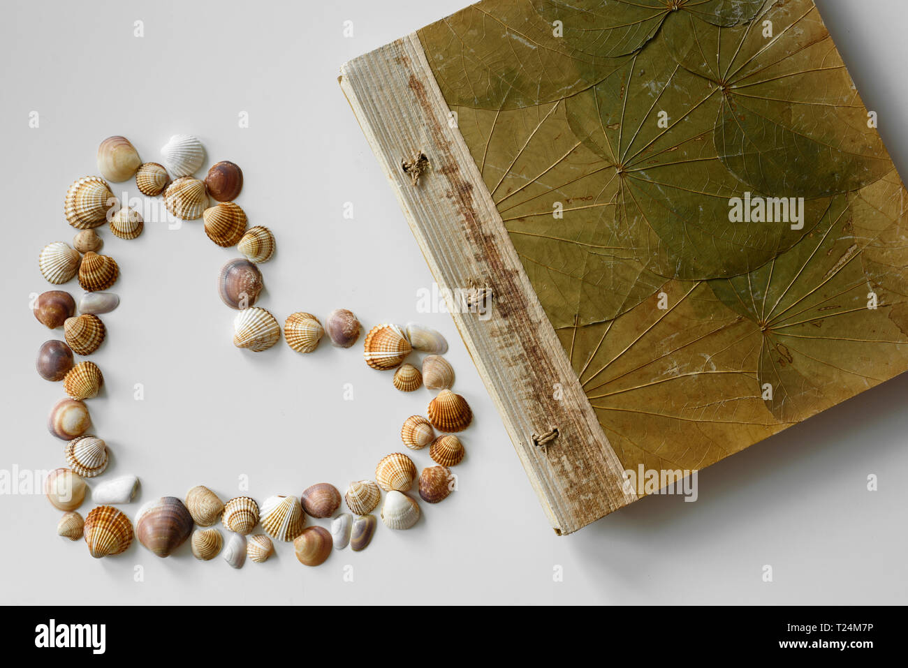 Ferienhäuser Tagebuch neben Herzförmige seashells als Sommer Arrangement erstellt. Stockfoto