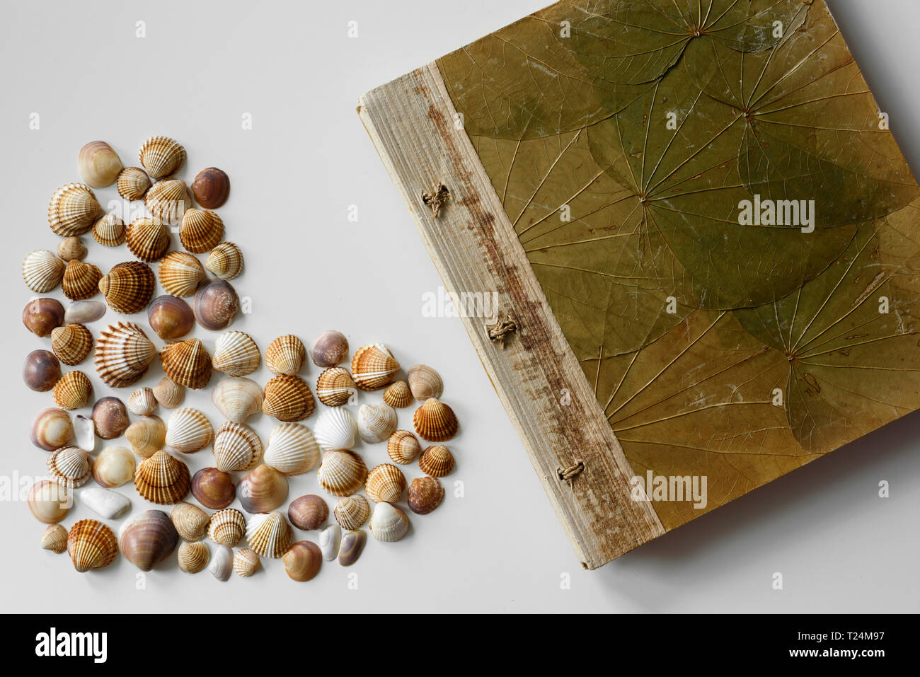 Vollem Herzen aus Muscheln und Ferienhäuser Fotoalbum erstellt, der als im Sommer. Stockfoto