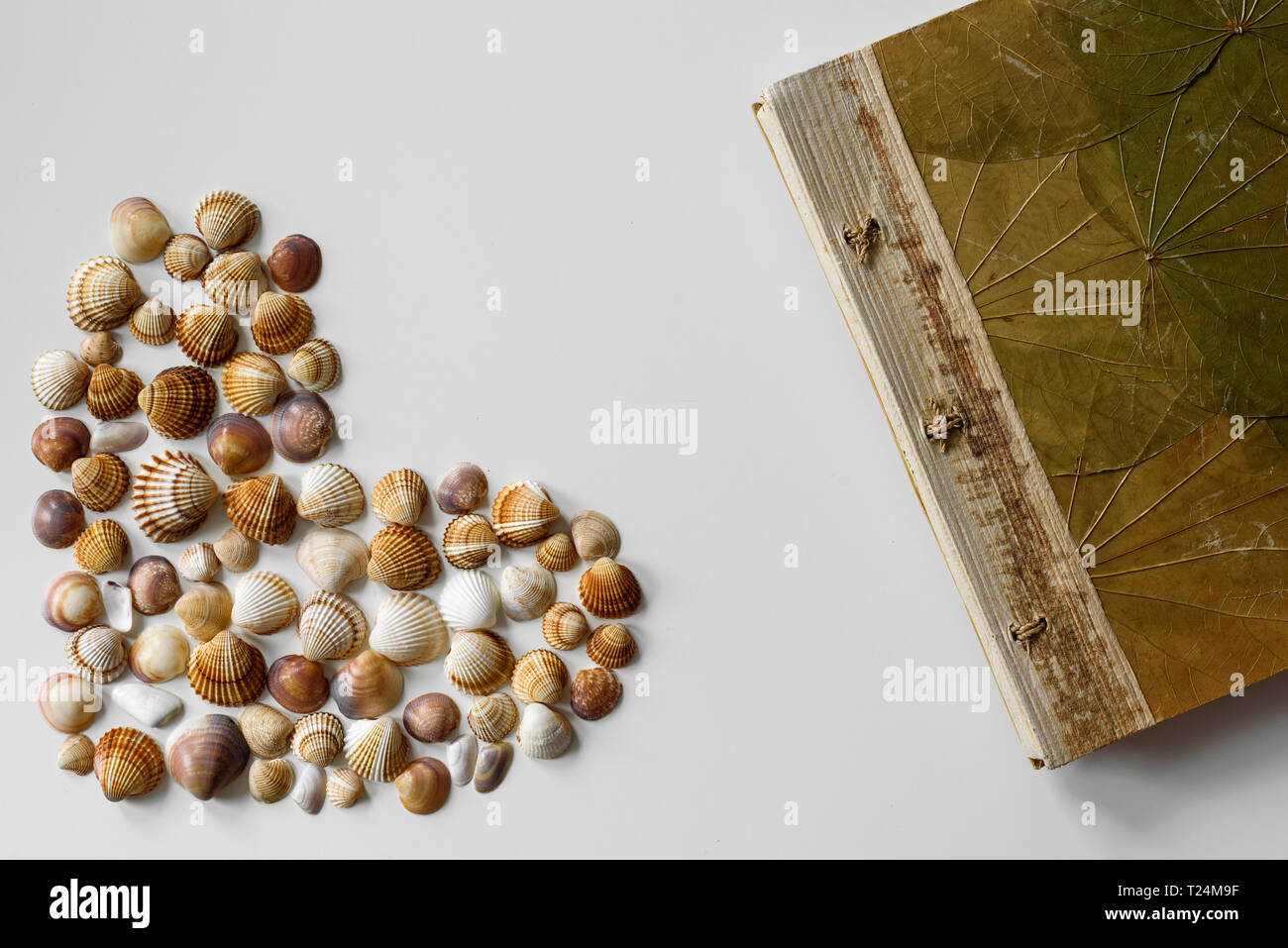 Vollem Herzen aus Muscheln und Blätterdach von Urlaub notebook auf weißem Hintergrund erstellt. Stockfoto