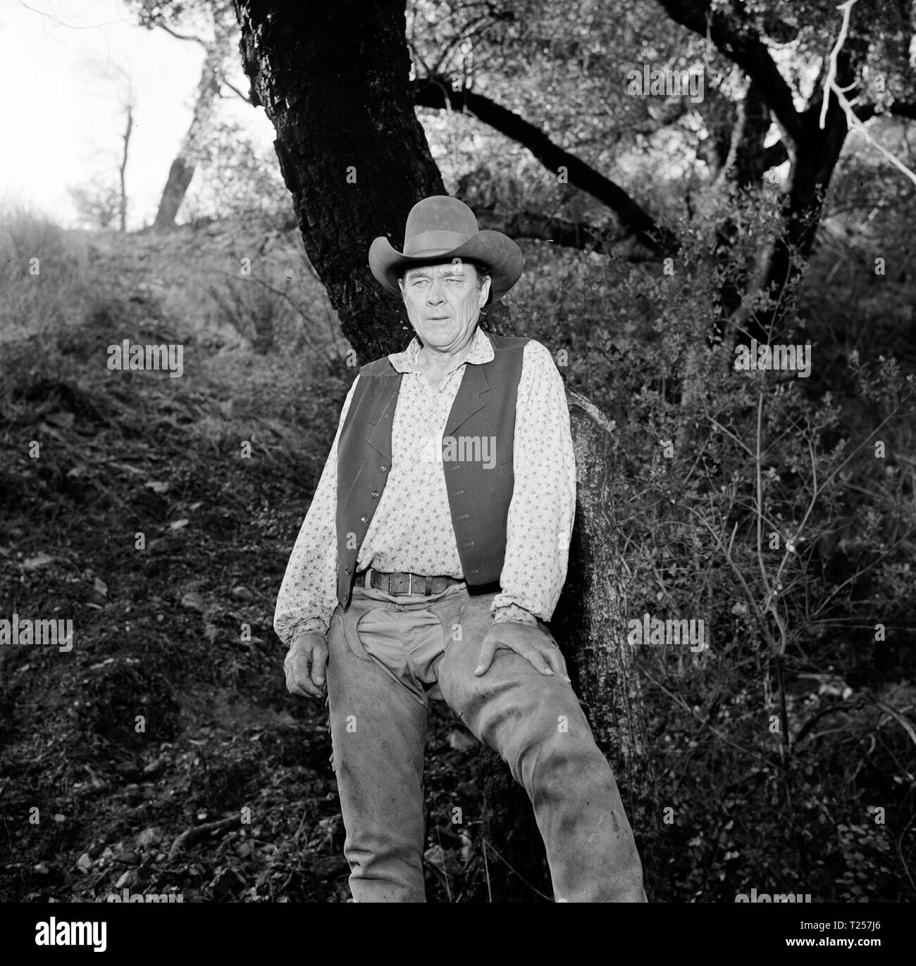 Der rote Pony (1973) Ben Johnson, Datum: 1973 Stockfoto