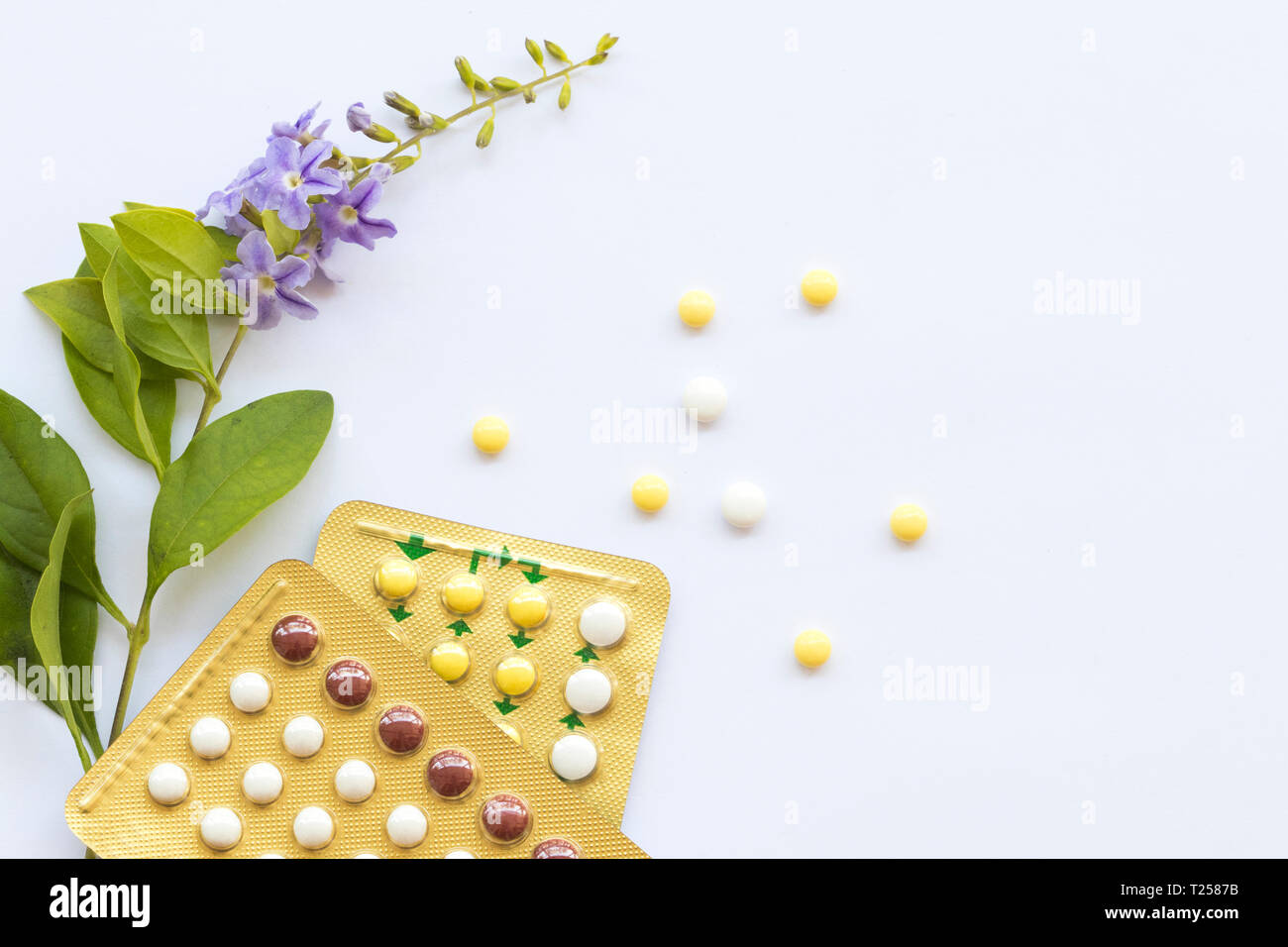 Die Pille der Frau nicht Baby mit lila Blüten Anordnung flach zu legen haben Stil auf Hintergrund weiss Stockfoto