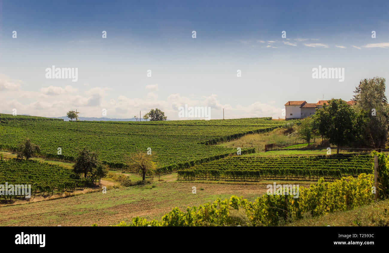 Santa Vittoria d'Alba Village, Weinberge und die Landschaft Landschaft im Piemont. Alba Piemont, Italien Europa. Stockfoto