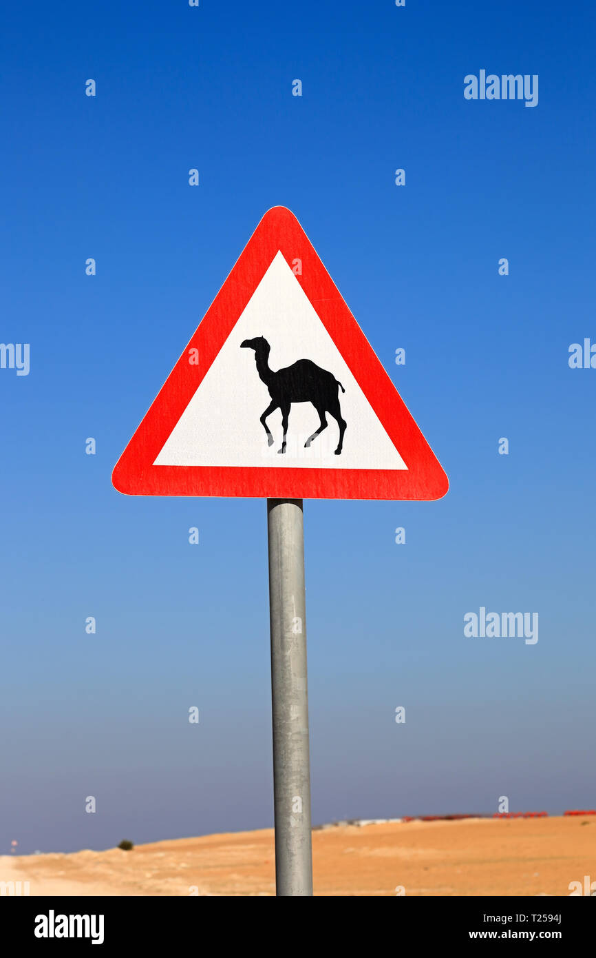 Camel crossing sign -Fotos und -Bildmaterial in hoher Auflösung – Alamy