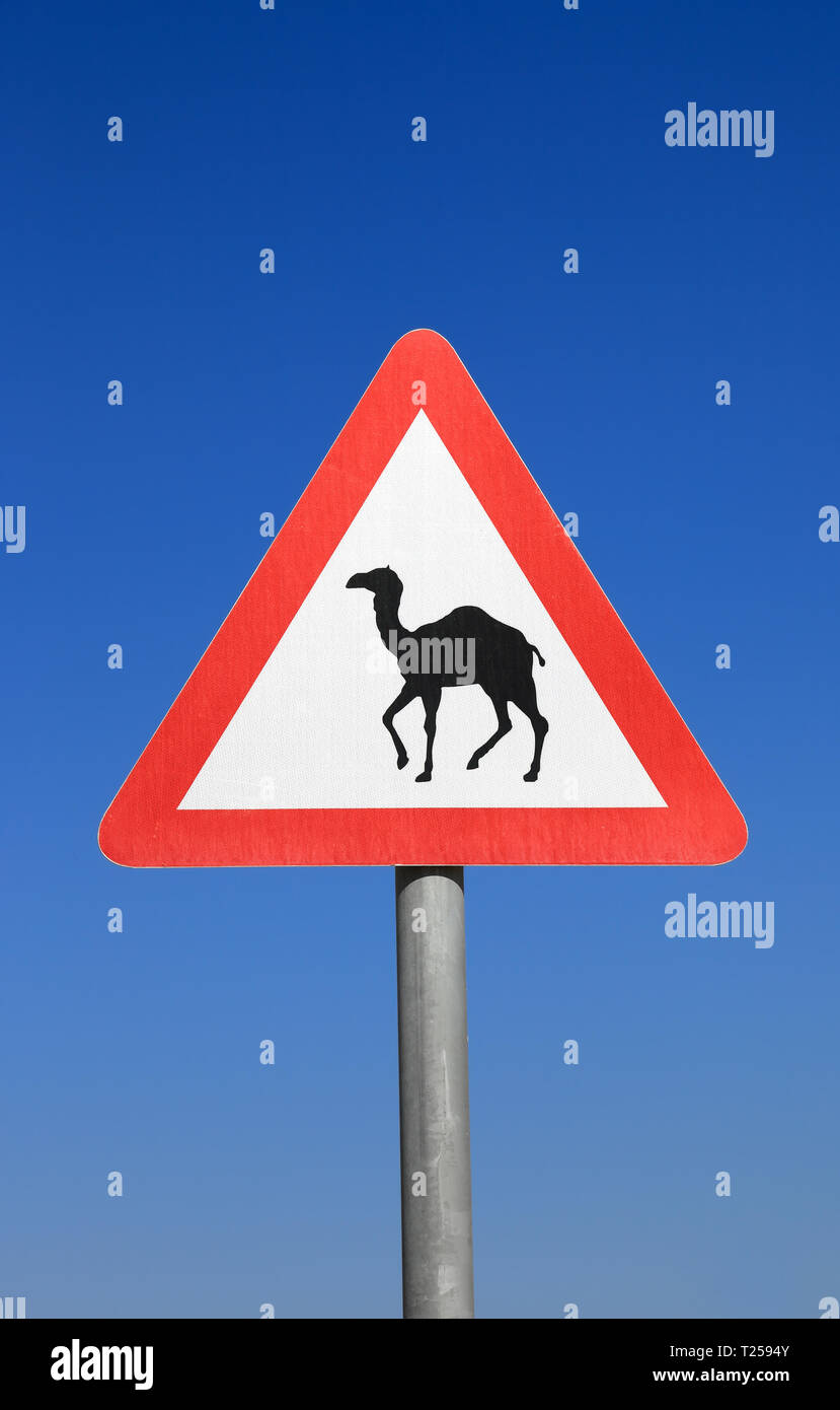 Road Sign Warning Camels Crossing Stockfotos und -bilder Kaufen - Alamy