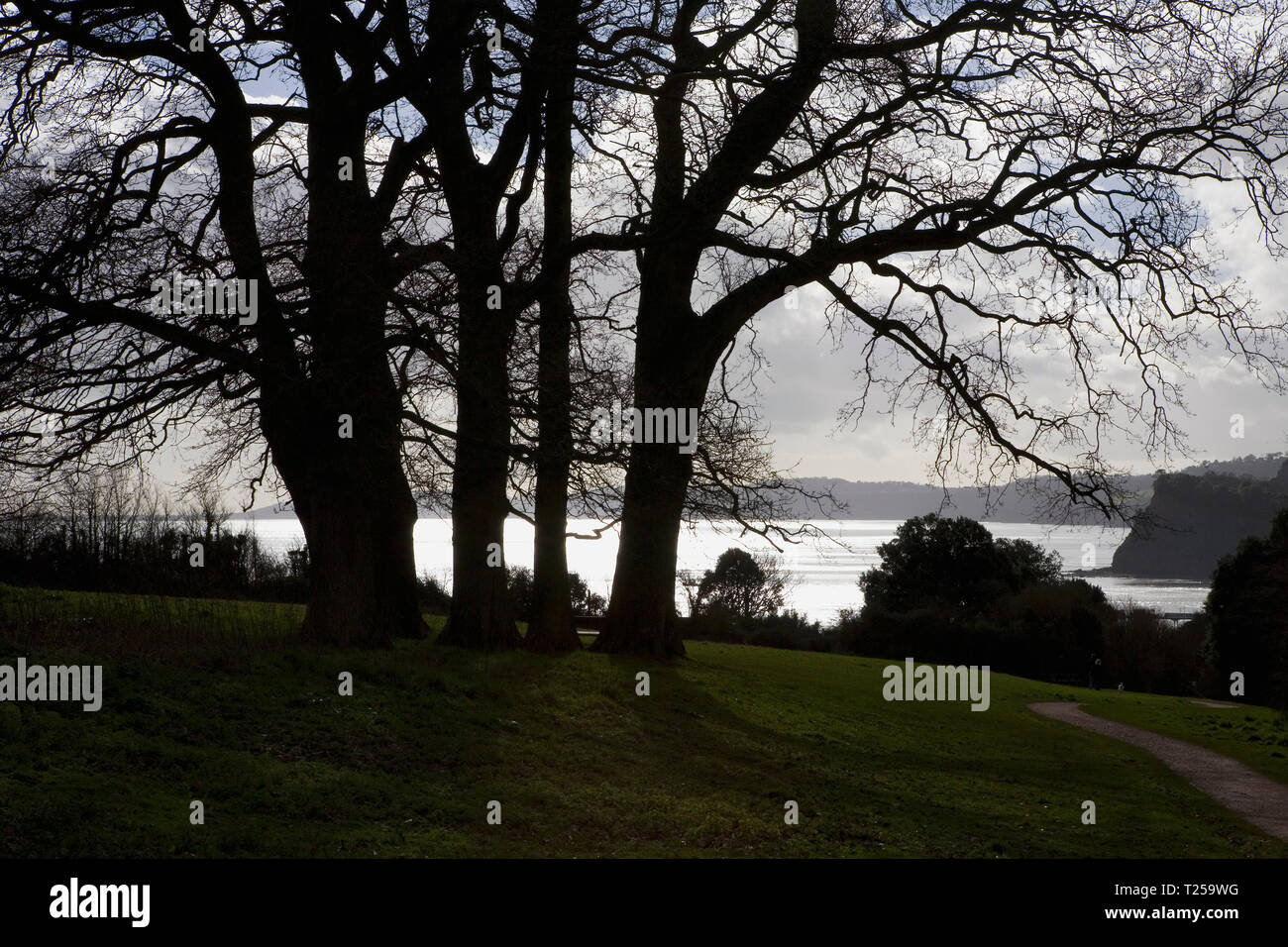 Contre-jour Schuß von Tor Bay von East Cliff Park, Teignmouth, Devon, Großbritannien Stockfoto