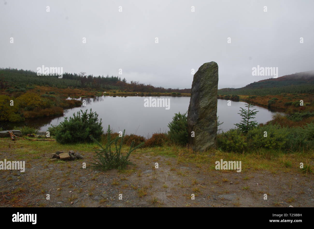 Standing Stone. Loch Asgog. Der Loch Lomond und Cowal Weg. Halbinsel Cowal. Hochland. Schottland. Großbritannien Stockfoto