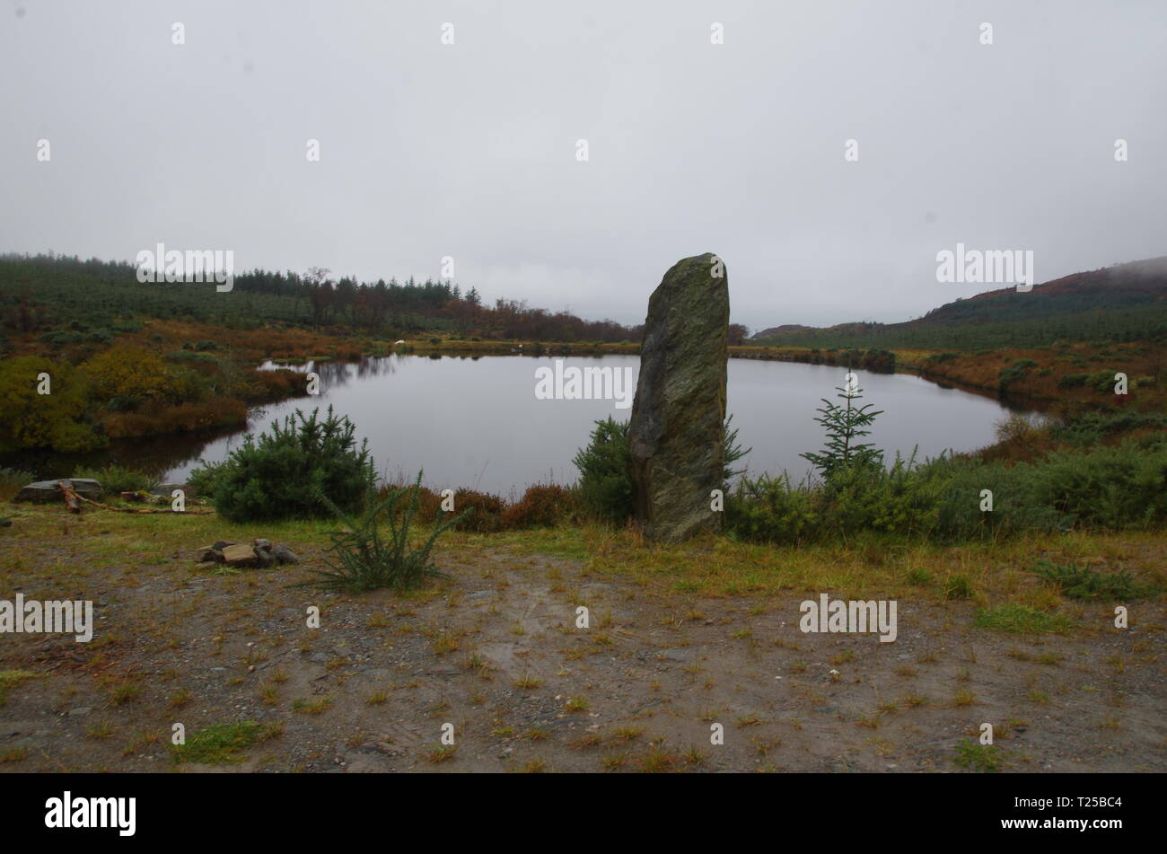 Standing Stone. Loch Asgog. Der Loch Lomond und Cowal Weg. Halbinsel Cowal. Hochland. Schottland. Großbritannien Stockfoto