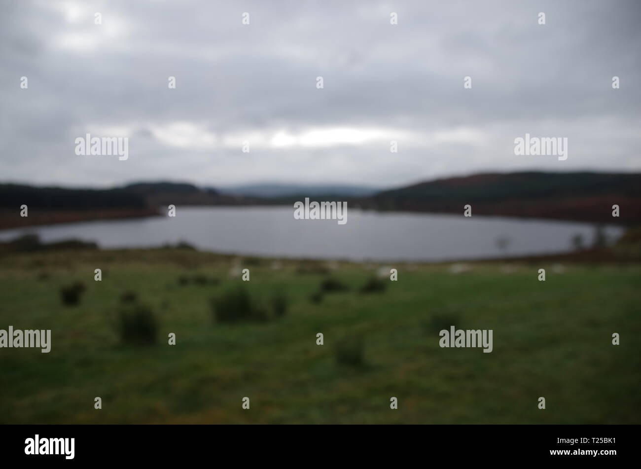 Loch Asgog. Der Loch Lomond und Cowal Weg. Halbinsel Cowal. Hochland. Schottland. Großbritannien Stockfoto