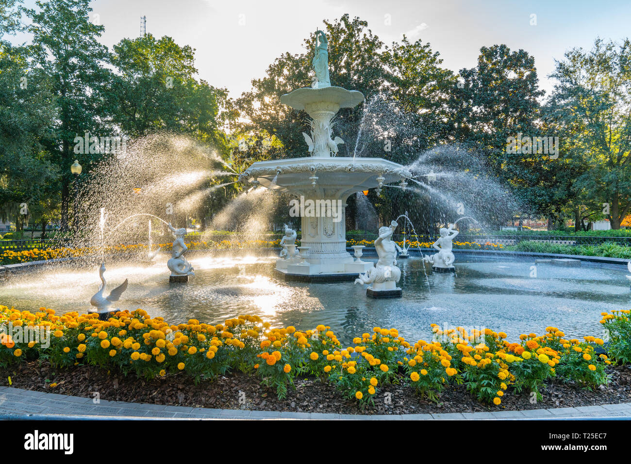Brunnen im Forsyth Park in Savannah, Georgia Stockfoto