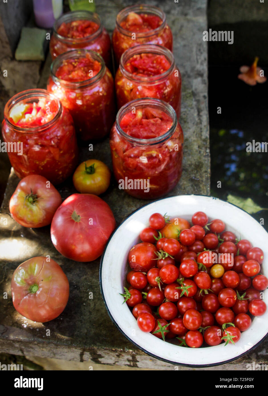 Erhaltung Tomaten in Töpfen für den Winter, Bulgarien Stockfoto
