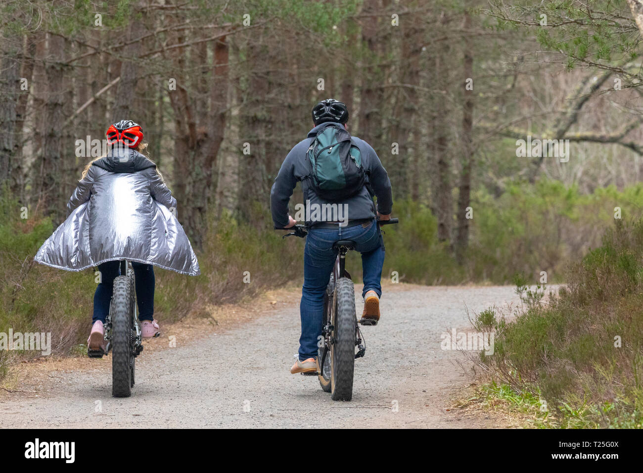 Radfahrer Radfahren rund um den Wald Weg in Glenmore Forest Park im Cairngorms Nationalpark während der trockenen Wetter im Frühling, Aviemore, Schottland, Großbritannien Stockfoto