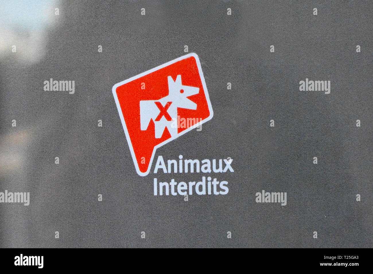 Rotes Schild mit dem durchgestrichenen Hund Zeichnung sagt 'Tiere verboten" in französischer Sprache an der Vorderseite der Touristenattraktion Abtei Jumièges Stockfoto