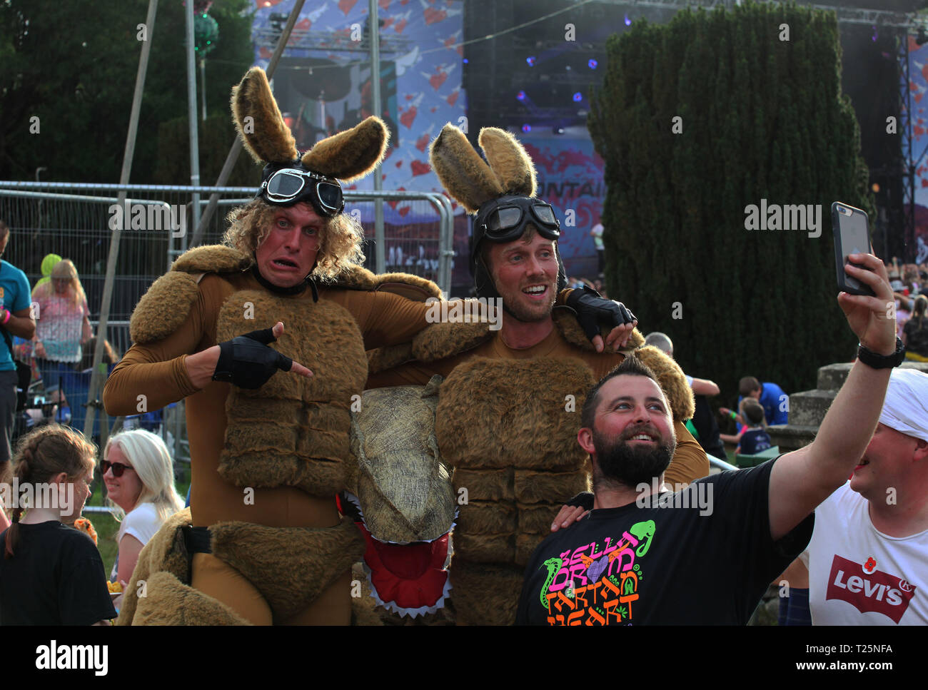 Dinosaurier Photo-Bombs Kängurus an Belladrum Tartan Herzen Music Festival 2018 Stockfoto