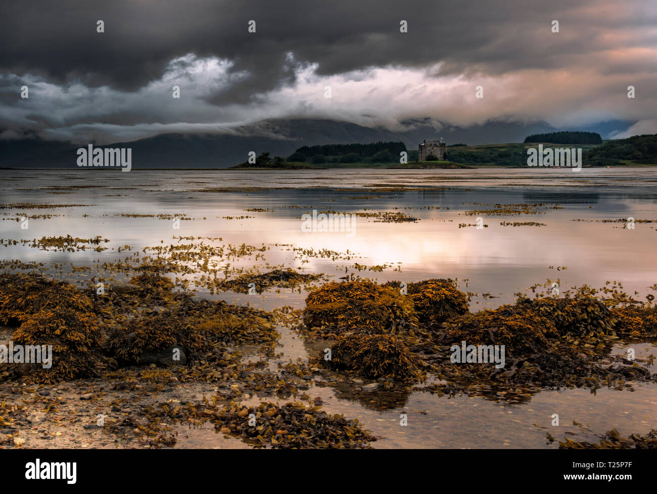 Castle Stalker, Loch Laich, Schottland Stockfoto