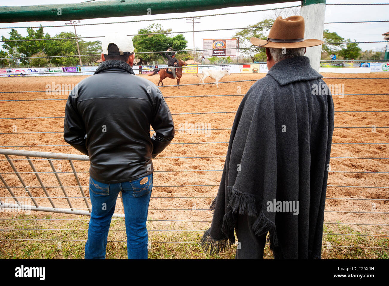 Rodeo ist ein beliebter Zeitvertreib in Mato Grosso Do Sul, Stadt Bonito, Brasilien Stockfoto