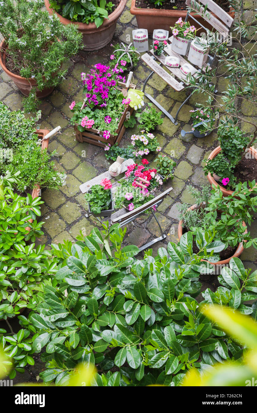 Verschiedene Topfpflanzen im Frühjahr und Sommer Pflanzen bereit für die Bepflanzung in einem Garten aus der Vogelperspektive Stockfoto